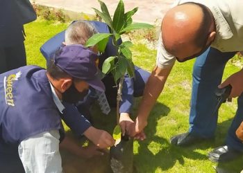 اطلاق مبادرة ” هنجملها” بجامعة القاهرة الجديدة التكنولوجية