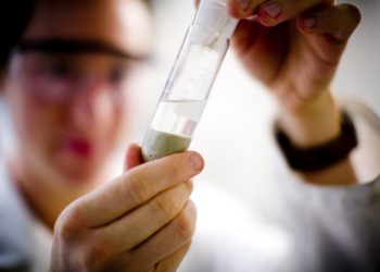 التعليم العالي تعلن عن منحة الدكتوراه لصندوق نيوتن مشرفة