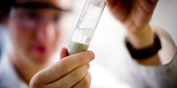 التعليم العالي تعلن عن منحة الدكتوراه لصندوق نيوتن مشرفة