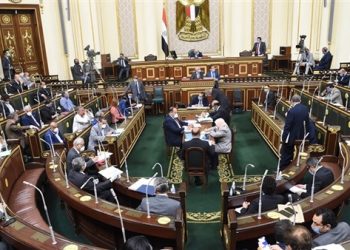 ضحايا تعديل المادة 137 من قانون تنظيم الجامعات يستغيثوا