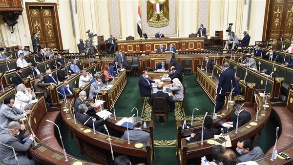 ضحايا تعديل المادة 137 من قانون تنظيم الجامعات يستغيثوا