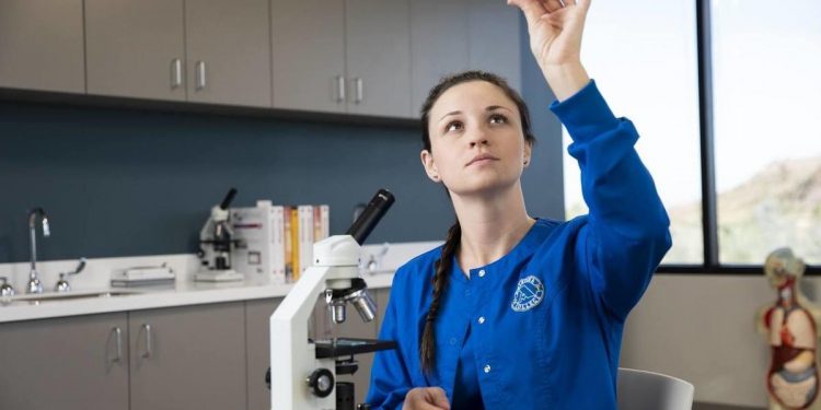 خريطة معاهد التمريض 2020.. الأماكن الشاغرة بتنسيق المرحلة الثانية