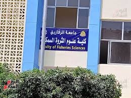 تنسيق 2020 …  كليات القمة المخفية بحدود دنيا تتجاوز 92%