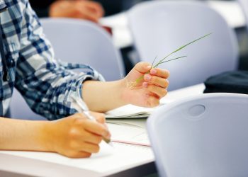 لطلاب علمي علوم في المرحلة الثانية.. كليات بديلة لـ «القمة»