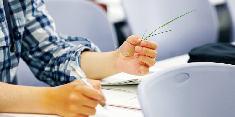 لطلاب علمي علوم في المرحلة الثانية.. كليات بديلة لـ «القمة»