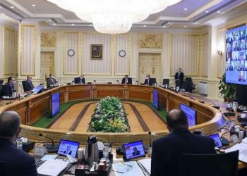 الوزراء يوافق إنشاء كلية الطب البشري بجامعة الوادي الجديد