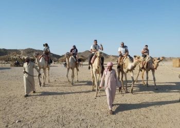 التعليم العالي تطلق مبادرة " إدعم سياحة بلدك" لتنشيط السياحة الداخلية"