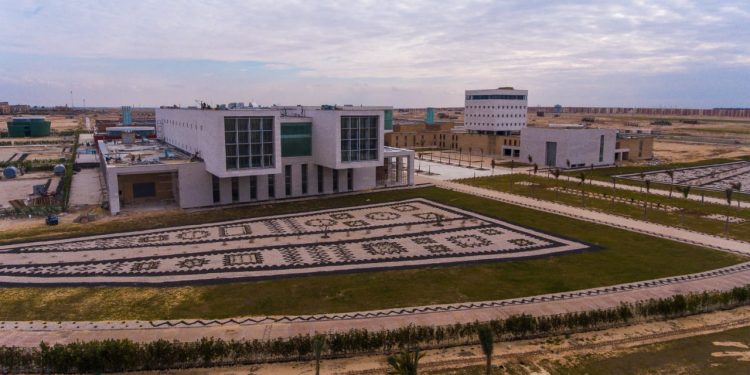 الجامعة المصرية اليابانية