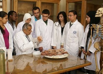 طب عين شمس من أفضل ٢٠٠ كلية طب في العالم لأول مرة