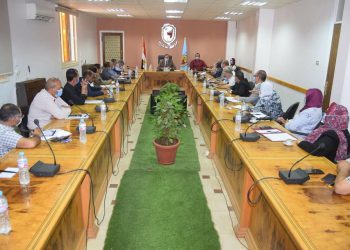 مجلس جامعة سوهاج