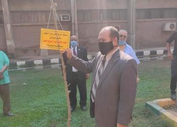 زراعة عين شمس تغرس الأشجار صدقة على أرواح شهداءها من الكورونا