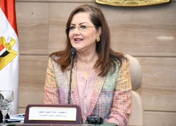 وزيرة التخطيط