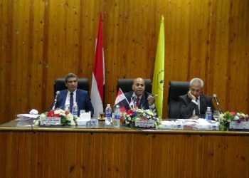 مجلس جامعة المنيا