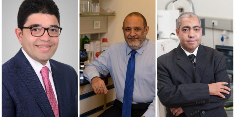 الجامعة الأمريكية تحتفل بحصول ثلاثة أعضاء من هيئة التدريس بجوائز الدولة في العلوم والتكنولوجيا