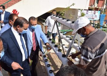 جامعة سوهاج تفتتح نموذج لزراعة الأسطح بتكلفة 5000 جنيه