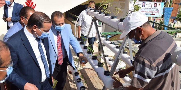 جامعة سوهاج تفتتح نموذج لزراعة الأسطح بتكلفة 5000 جنيه