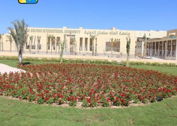 جامعة سلمان الدولية