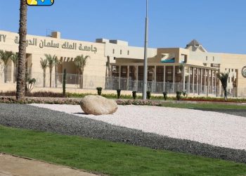 جامعة سلمان الدولية