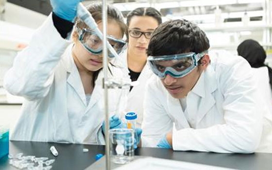 البحث العلمي: دعم مشروعات تخرج 23 ألف طالب بتكلفة 58 مليون جنيه