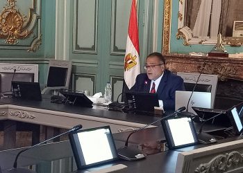 نائب رئيس جامعة عين شمس يحاضر في دورة دولية بجنوب إفريقيا