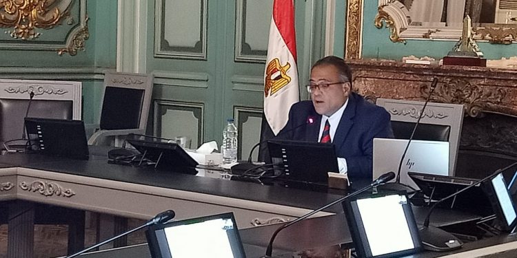 نائب رئيس جامعة عين شمس يحاضر في دورة دولية بجنوب إفريقيا