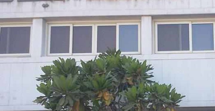 القصة الكاملة لمدرس دمياط المتحول جنسياً من محمد إلى فريدة