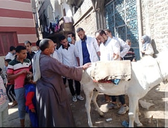 قافلة جامعة سوهاج البيطرية تعالج 620 حالة بالتعاون مع مديريتي الطب البيطري والزراعة