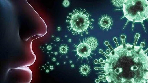 لجنة الفيروسات: نسير في الاتجاه الصحيح للقاح "كورونا".. والتجارب على 4 حيوانات