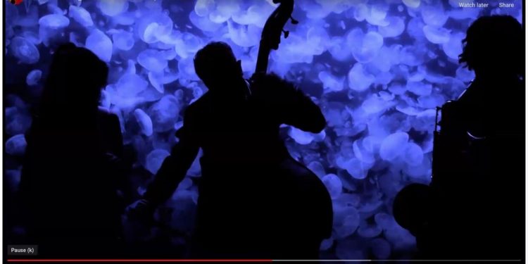 موسيقى الجاز في اليابان.. على طاولة ويبينار تربية موسيقية حلوان