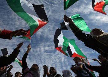 اليوم العالمي للتضامن مع فلسطين تعليم القاهرة: ندعو للسلام ونبث قيم الحق والعدل