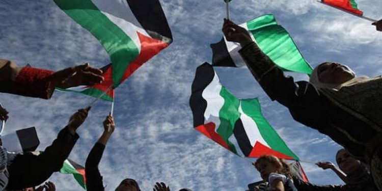 اليوم العالمي للتضامن مع فلسطين تعليم القاهرة: ندعو للسلام ونبث قيم الحق والعدل