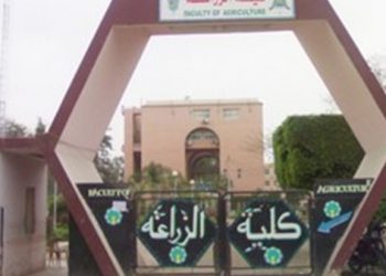 كلية زراعة الأزهر بالقاهرة تنظم ورشة عمل حول اعتماد المعايير الأكاديمية لبرنامج الألبان