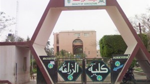 كلية زراعة الأزهر بالقاهرة تنظم ورشة عمل حول اعتماد المعايير الأكاديمية لبرنامج الألبان