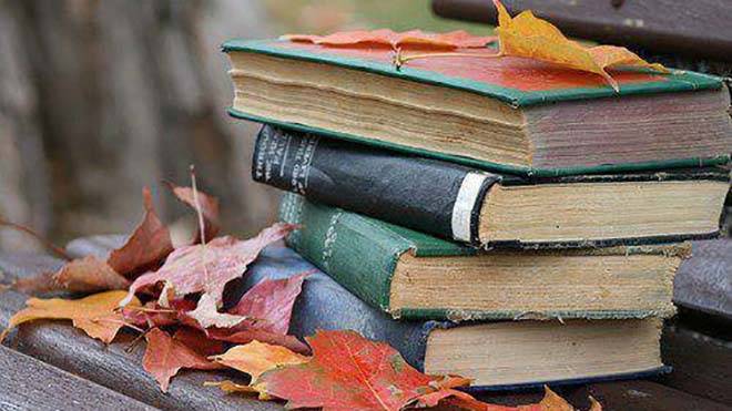 في يومها العالمي.. أقوى بيت شعري في اللغة العربية