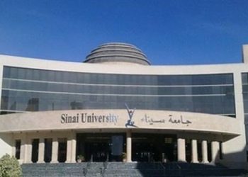 جامعة سيناء