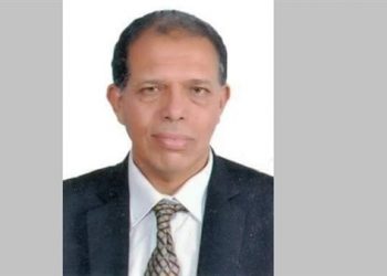 عميد هندسة الزقازيق: دراسة الألمانية لطلاب التخصص دليل على كفاءة وجودة التعليم في مصر