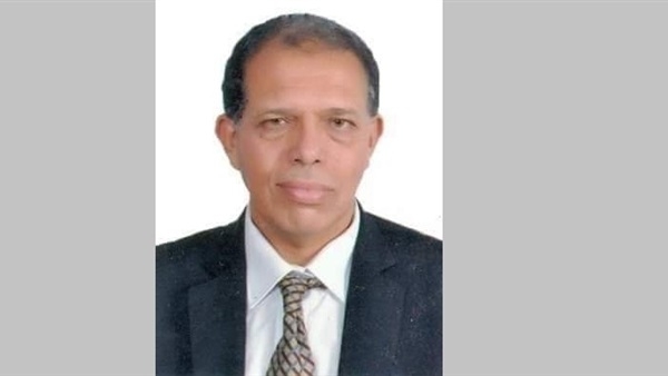 عميد هندسة الزقازيق: دراسة الألمانية لطلاب التخصص دليل على كفاءة وجودة التعليم في مصر