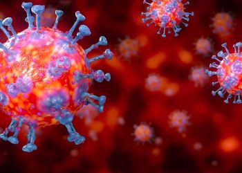 دراسة: لقاح موديرنا يمنح مناعة 3 أشهر فقط