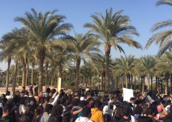 لليوم الثانى.. وقفة إحتجاجية لطلاب الجامعة الإمريكية