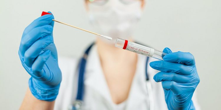 بالتفاصيل.. ظهور سلالة جديدة لفيروس كورونا