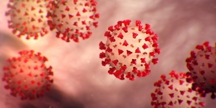 أوكسفورد: الأجسام المضادة تدوم لفترة أطول للأشخاص الذين ظهرت عليهم الأعراض