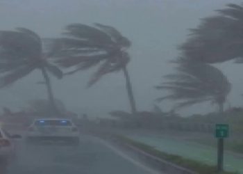 الأرصاد تحذر من الشبورة وانخفاض الحرارة