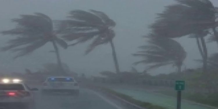 الأرصاد تحذر من الشبورة وانخفاض الحرارة