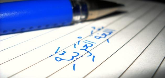 افتخر بالعربية.. فهناك آلاف الكلمات الأجنبية مأخوذة منها