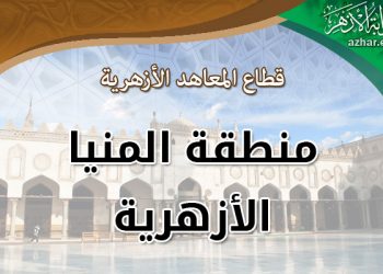 تنفيذية حصر متحدي الإعاقة بالمنيا الأزهرية تعقد اجتماعًا مغلقًا لمناقشة خطة العمل