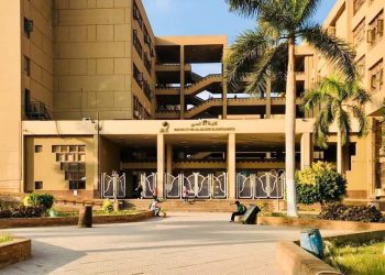 ورشة عمل أون لاين "تدريب المدربين" بـ"ألسن عين شمس"