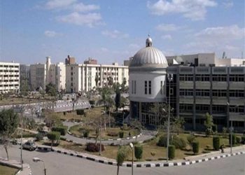 جامعة الفيوم