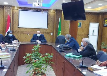 تعليم القليوبية: تجهيز قاعدة بيانات لإعادة الهيكلة الإدارية لموجهي المواد الأساسية