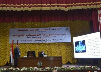 نائب الاتحاد العربي للاقتصاد الرقمي: مصر بدأت عصر التحول الرقمي