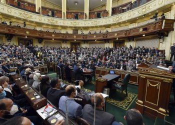 برلماني: مواجهة معاهد بير السلم ضرورة ولابد من التعامل معها بقبضة من حديد